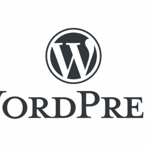 Paquete de soporte Wordpress 20 Horas